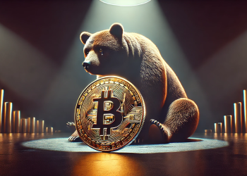 Bitcoin bear market