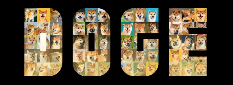 dogecoin als antwoord op welke altcoin gaat exploderen