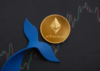 Ethereum Whales Double Holdings To 43% Post-Merge – Details