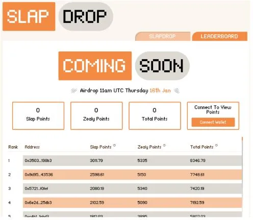 catslap 100 000 dollars