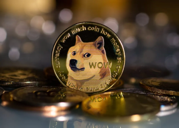 Gaat dogecoin stijgen?