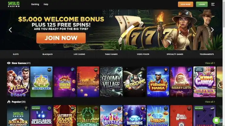 wild casino casino lobby