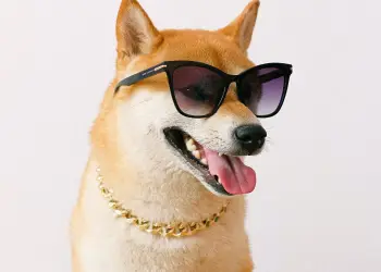 Dogecoin