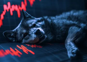 Le prix du Dogecoin en chute