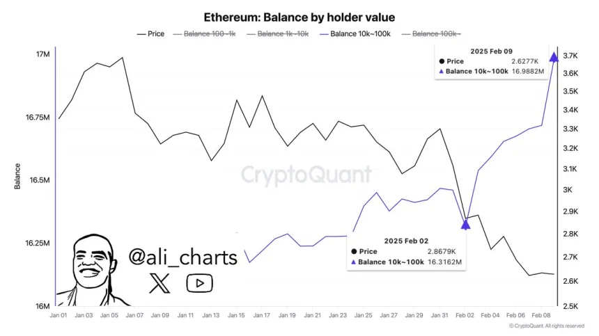 Las ballenas de Ethereum compran 600,000 ETH en una semana | Fuente: Ali Martínez en X