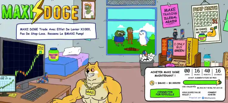 maxi-doge-meilleure-crypto-a-acheter