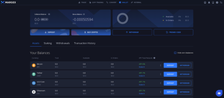 The Margex wallet interface