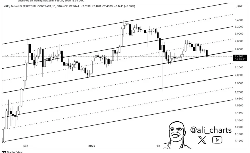 XRP probando la demanda crucial | Fuente: Ali Martinez en X