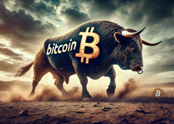 Bitcoin bull run is over news