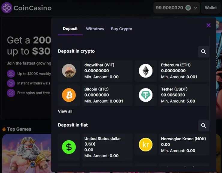screenshot of coincasino deposit methods