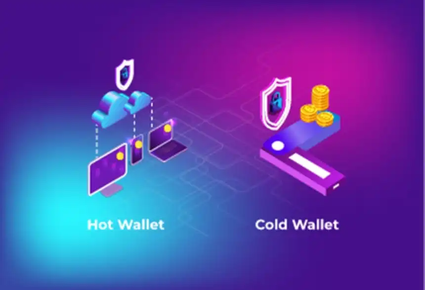 Hot wallet vs cold wallet - Cara Menggunakan Crypto Wallet