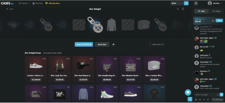 The Cases.gg platform