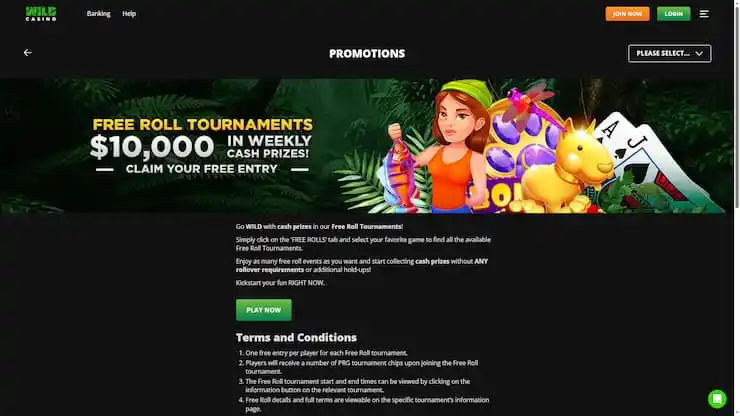 screenshot of Wild Casino free roll tournaments promo
