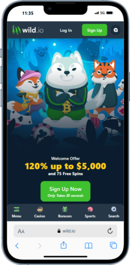 The Wild.io homepage on mobile