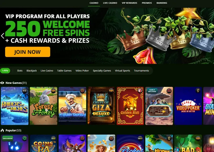 wild casino welcome bonus and games