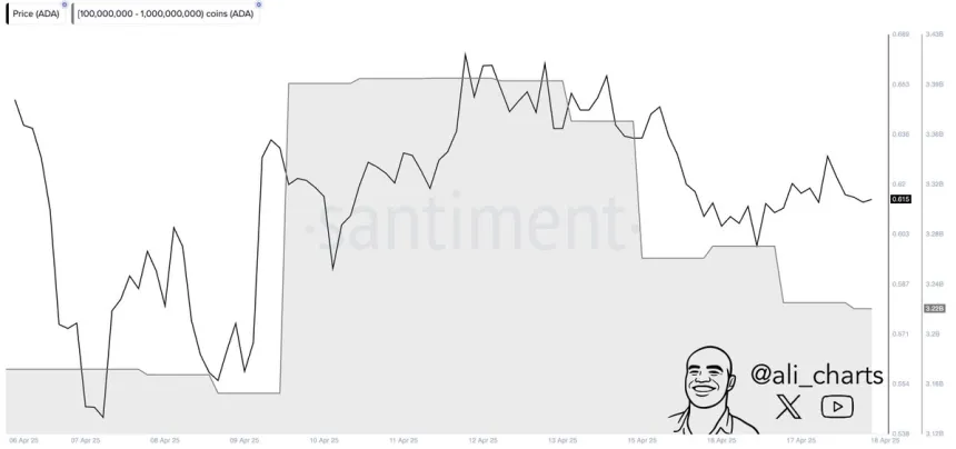Cardano whales offload over 180 million ADA in the past five days | Source: Ali Martinez on X