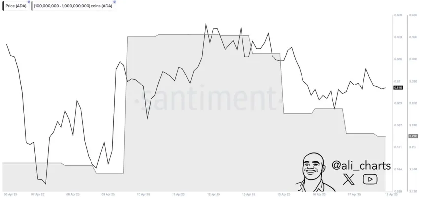 Las ballenas de Cardano descargan más de 180 millones de ADA en los últimos cinco días | Fuente: Ali Martinez en X