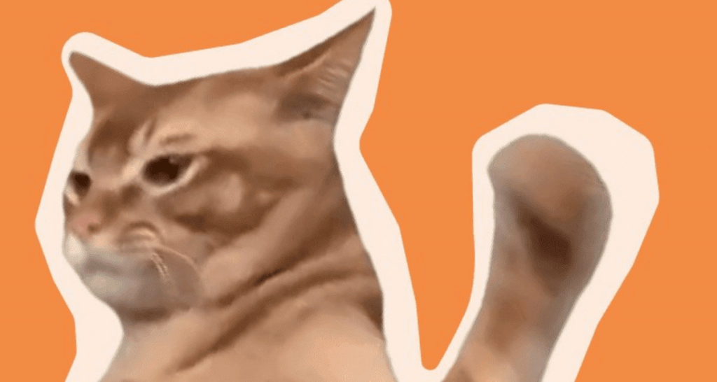 Catslap – Kreatywny projekt z unikalnym tokenem i aspektami społecznościowymi.