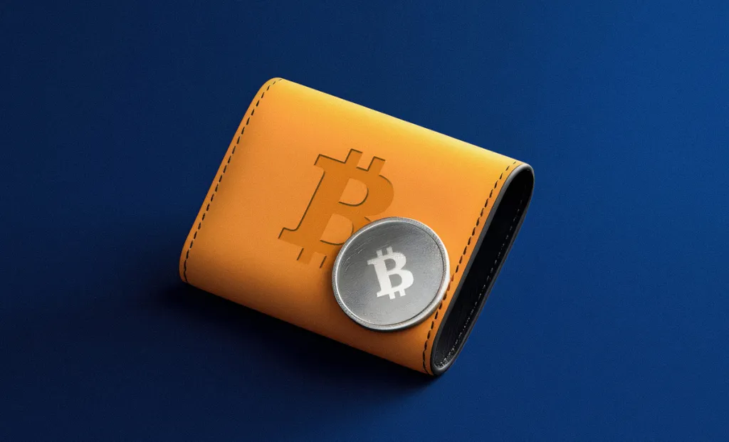 Differences in Bitcoin Storage 