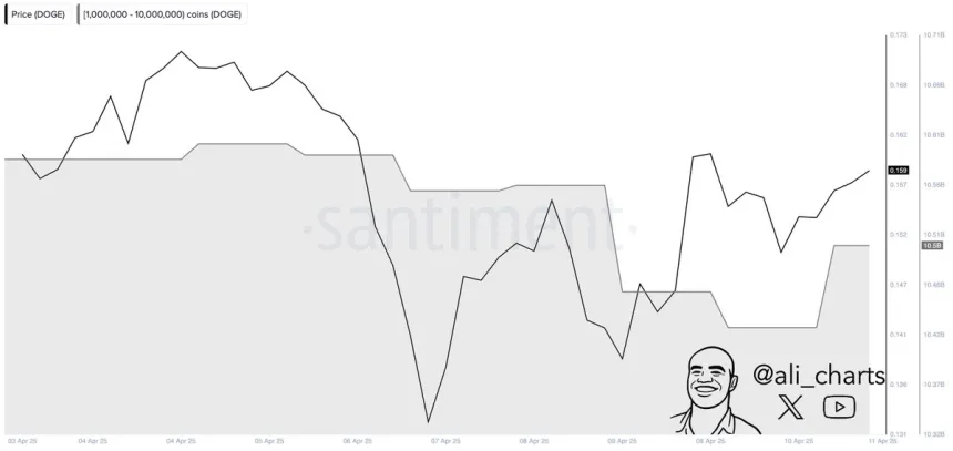 Ballenas de Dogecoin compraron 80 millones de DOGE en 24 horas | Fuente: Ali Martinez en X