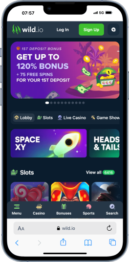 wild.io casino india