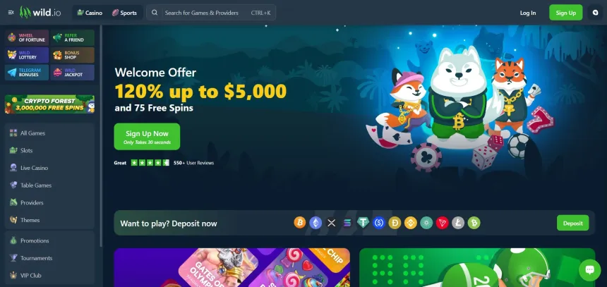 Wildio é uma das plataformas de jogos online com criptomoedas para brasileiros