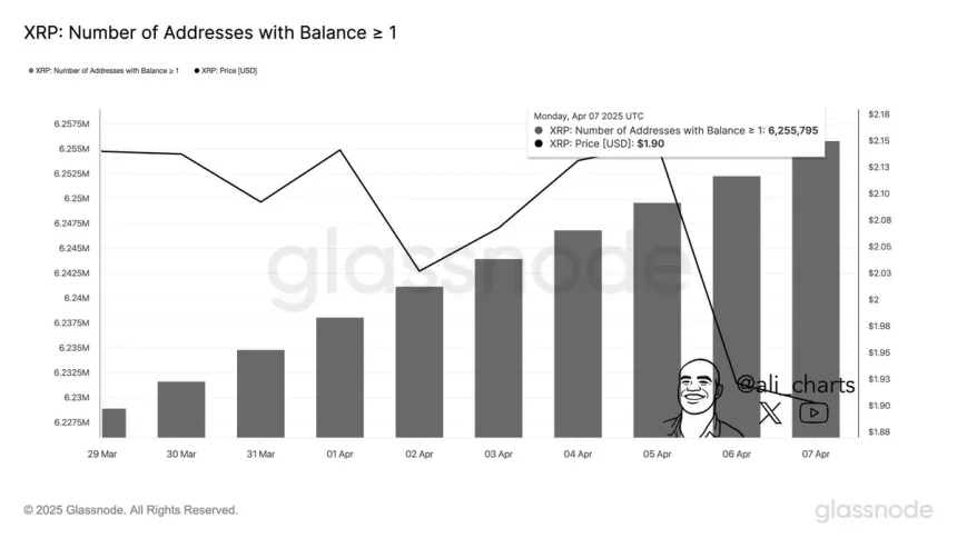 XRP Number of Addresses with Balance ≥ 1 | Source: Ali Martinez on X