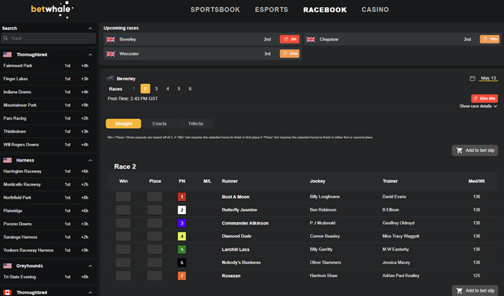 horse racing betting market betwhale casino