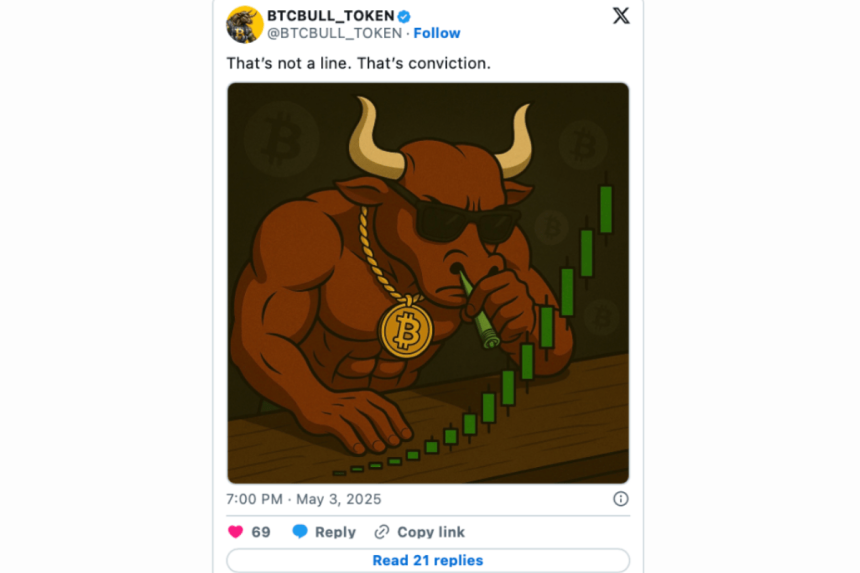BTC Bull Token X