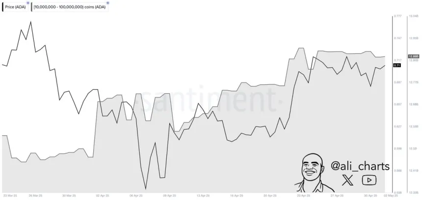 Cardano whales accumulated over 410 million ADA in April | Source: Ali Martinez on X