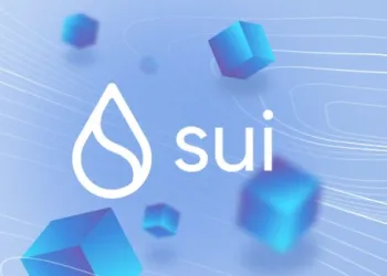 sui network