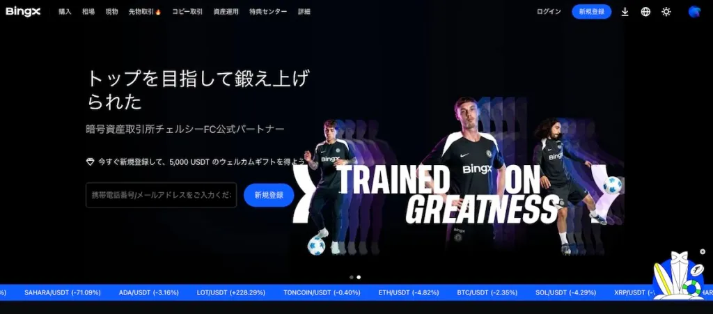 ビンエックスのホームページ