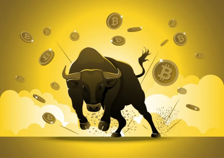 bitcoin bull run