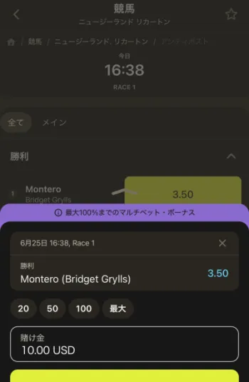 ブックメーカーでの競馬の遊び方ステップ5の解説画像
