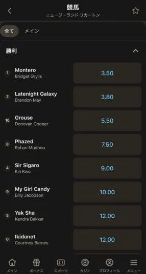 ブックメーカーでの競馬の遊び方ステップ4の解説画像