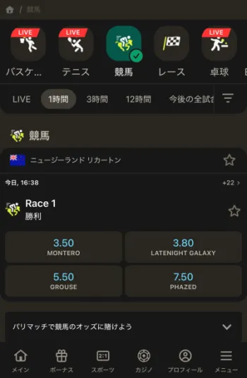 ブックメーカーでの競馬の遊び方ステップ3の解説画像