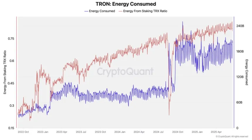 Tron Energy Consumed | Source: CryptoQuant on X
