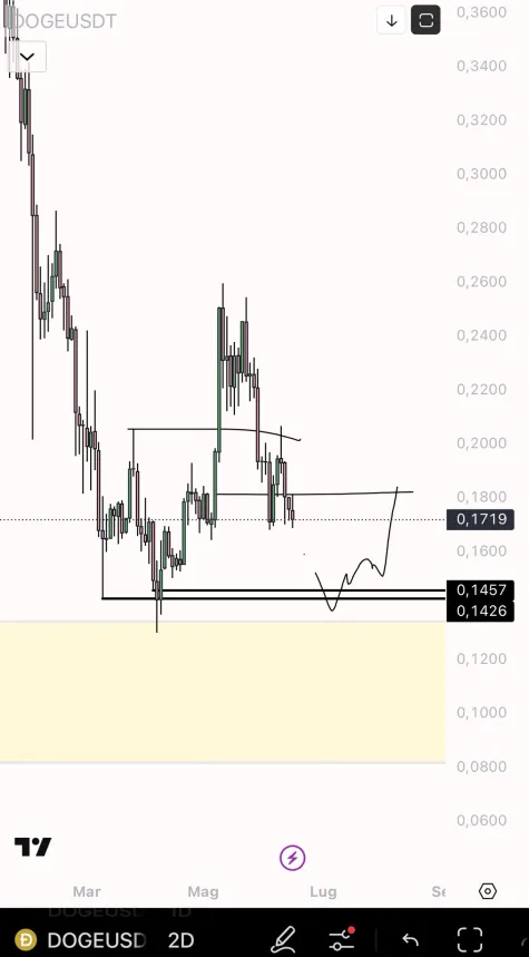 Dogecoin price DOGE DOGEUSDT
