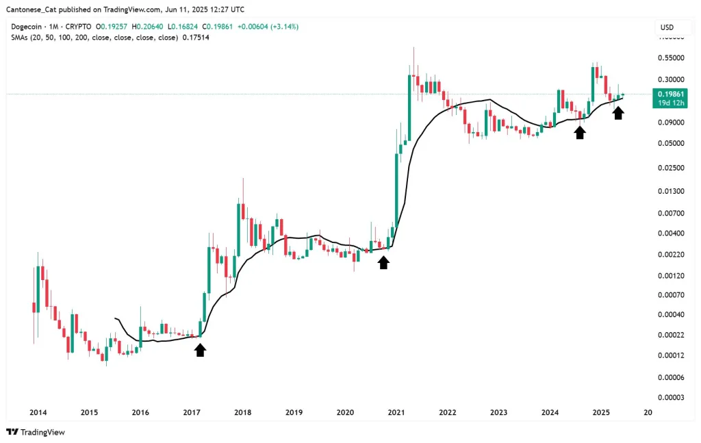Dogecoin price analysis, monthly chart