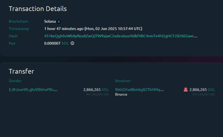 Entrada de ballena Solana