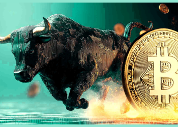 bitcoin bull run