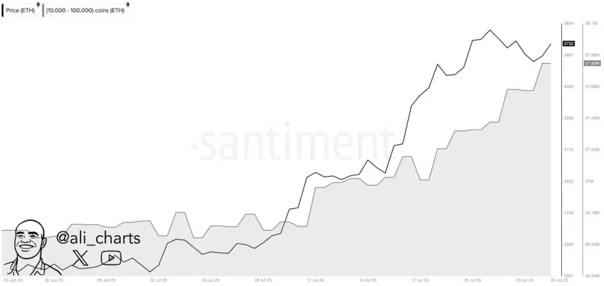 Acumulación de ballenas de Ethereum | Fuente: Ali Martinez en X