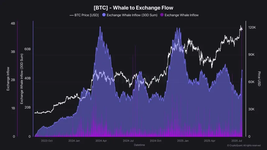 Bitcoin Whale to Exchange Flow | Source: Darkfost on X