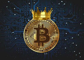 Bitcoin long-term investors bezitten nu 80% van alle BTC – kan dit de BTC koers omhoog stuwen?