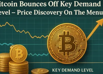 Bitcoin Bounces Off Key Demand Level – Price Discovery On The Menu?
