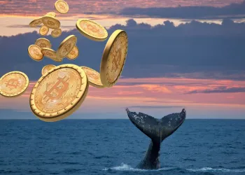 whale bitcoin
