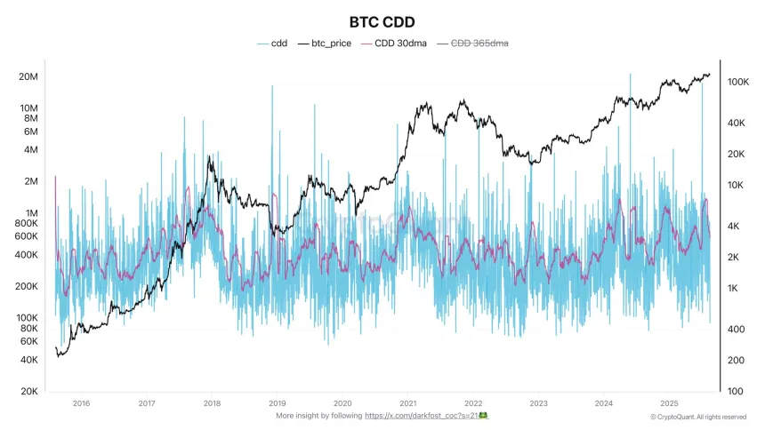 Bitcoin CDD Chart | Source: Darkfost