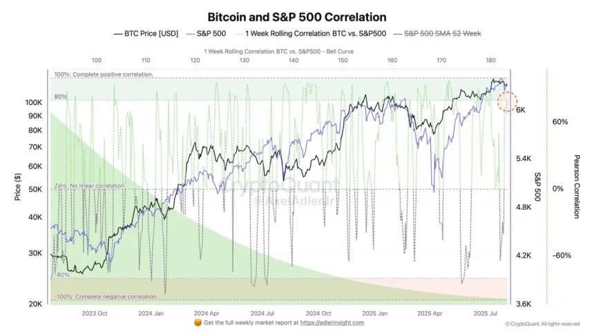 Bitcoin and S&P 500 Correlation | Source: CryptoQuant