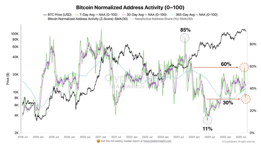 Bitcoin Normalized Address Activity | Source: Axel Adler