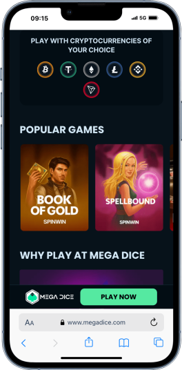mobile screenshot of Mega Dice home page